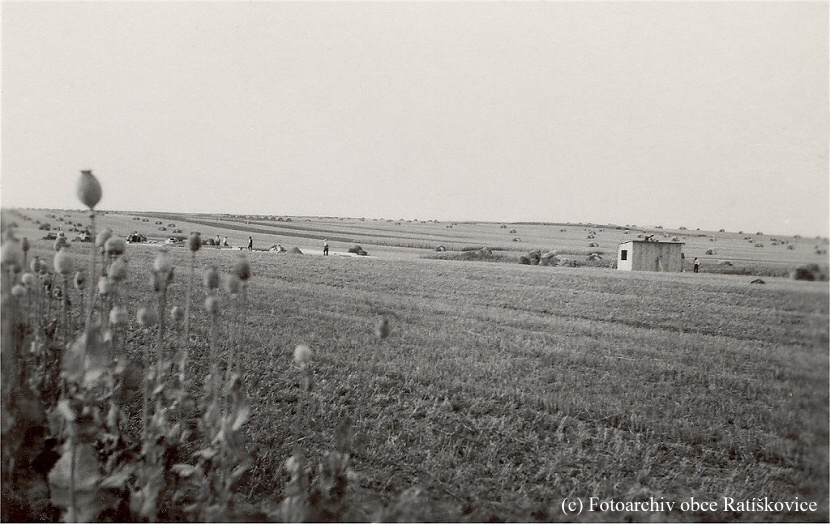 Pozemek budoucího Dolu Tomáš u Ratíškovic, počátek 30. let. Fotoarchiv obce Ratíškovice